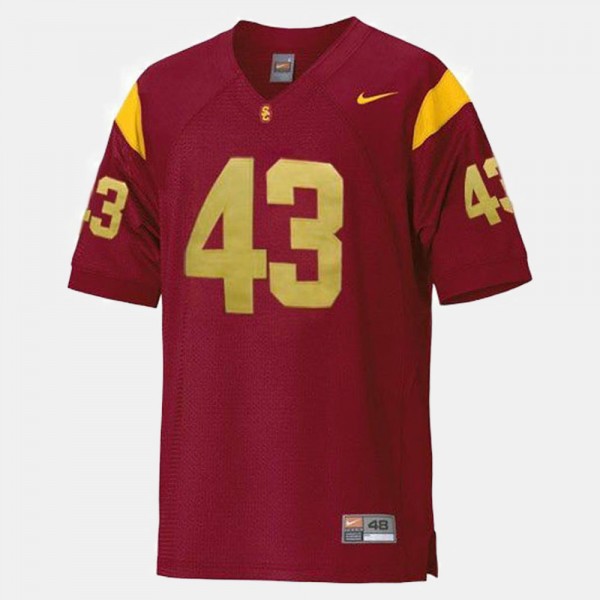 troy polamalu jersey youth